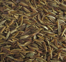 Cumin Seeds Sample, 40-90 g.
